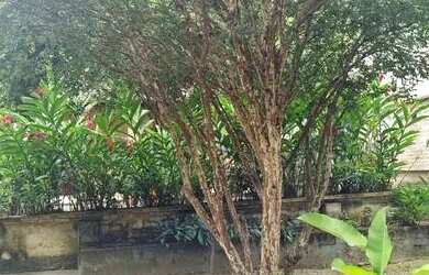 Imagem 2: VENDO OU ALUGO CASA NO CONDOMÍNIO FAZENDA PASSAREDO