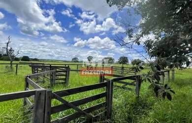 Imagem 2: Fazenda Colonial Goiás velho 34 alqueires ótima localização