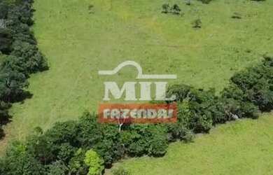 Imagem 10: Fazenda Colonial Goiás velho 34 alqueires ótima localização