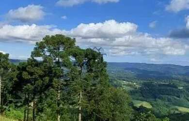 Imagem 4: Área de terra bairro Linha Imperial, Nova Petrópolis. RS Ref. 154