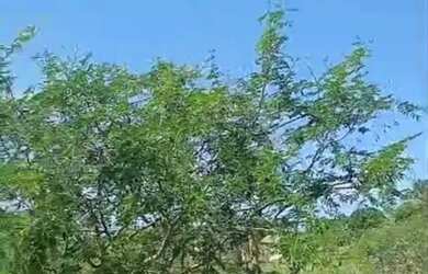 Imagem 3: Terreno 600m2. Imóvel novoe600m² de Área