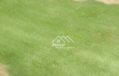 Imagem: O terreno possui 305m² de Área e está localizado em Ribeirão