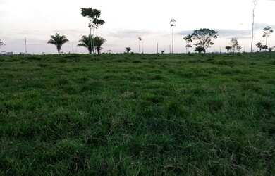 Imagem: A fazenda possui 7m² de Área e está localizado em Buritis