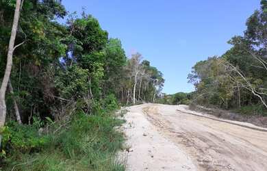 Imagem 11: RE/MAX Safira Vende Lotes no Condomínio Village Trancoso,- Ba