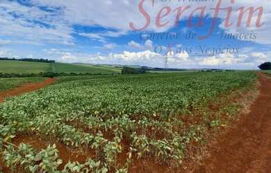 Imagem: A chácara possui 10m² de Área e está localizado em Alto