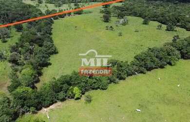 Imagem 3: Fazenda Colonial Goiás velho 34 alqueires ótima localização