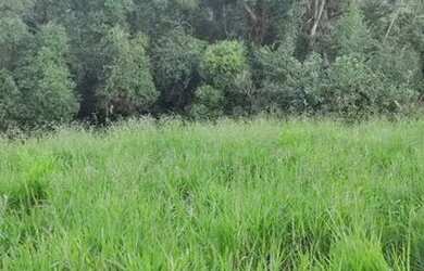 Imagem 10: Lote/Terreno para venda tem 500 metros quadrados em Usina - Atibaia -...