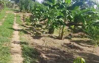 Imagem: A chácara possui 350m² de Área e está localizado em Vila