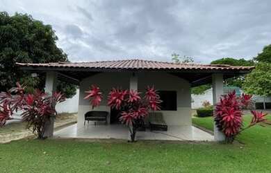 Imagem 5: Sitio na região do novo iguape