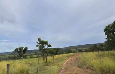 Imagem 5: A M IMOVEIS VENDE EXELENTE FAZENDA EM CABECEIRA GRANDE ESCRITURADA