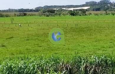 Imagem 15: Ótima casa à venda em Ribeirão, Paulo Lopes