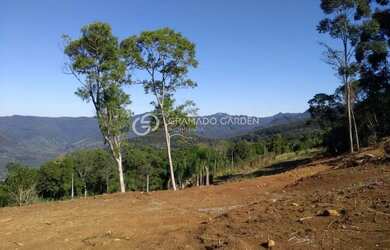 Imagem 4: SÍTIO À VENDA VÁRZEA GRANDE - GRAMADO/RS