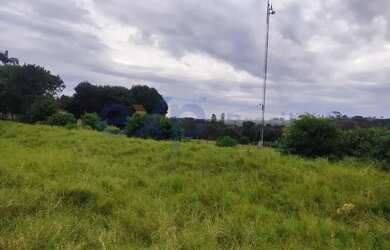 Imagem 6: Chácara em Santa Terezinha de Itaipu - PR