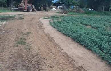 Imagem 6: Vende-se uma excelente fazenda de 180 hectares