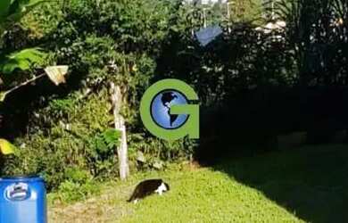 Imagem 13: Ótima casa à venda em Ribeirão, Paulo Lopes