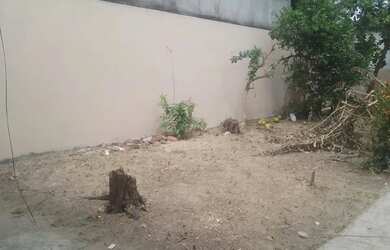 Imagem 11: Casa Grande 3 qts Apto Anexo - Parque das Garças - Novo Aleixo