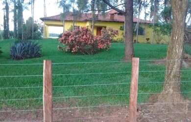 Imagem 9: Fazenda excelente à venda entre Votuporanga e Cardoso-SP