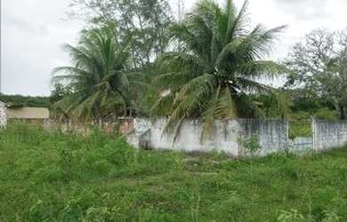 Imagem 4: Ótima Fazenda com 200 hectares na região de São Gonçalo do Amarante