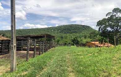 Imagem: A fazenda possui 148m² de Área e está localizado em Setor