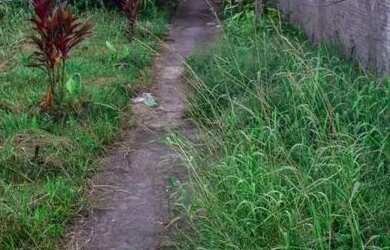 Imagem 1: TERRENO EM PRAIA GRANDE