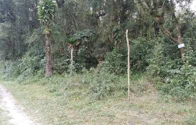 Imagem: A chácara possui 4500m² de Área e está localizado em Paranaguá