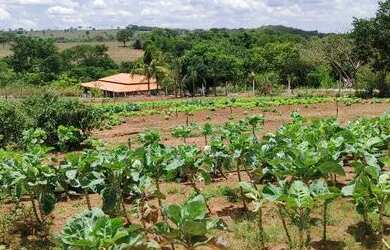 Imagem: A chácara possui 10.000m² de Área e está localizado em