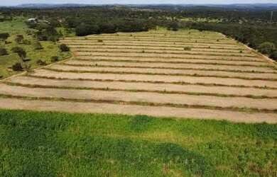 Imagem: A fazenda possui 290000m² de Área e está localizado em Cordisburgo
