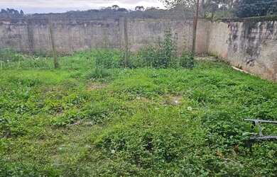 Imagem 16: Casa Fazenda Rio Grande Amplo Terreno