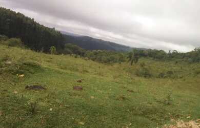 Imagem: A fazenda possui 1185m² de Área e está localizado em Centro