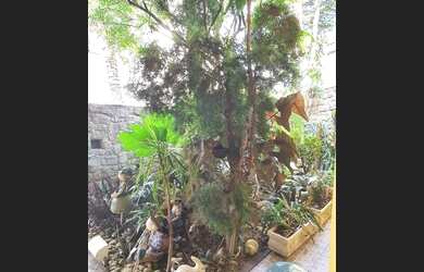 Imagem 15: Casas em Condomínio para venda em Jundiaí no bairro Jardim Santa Teresa