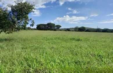 Imagem 4: A M Imoveis vende Exelente Fazenda com 162hectare Região da Serra Bonita,...