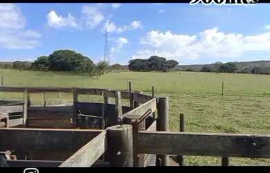 Imagem 5: A M Imoveis vende Exelente Fazenda com 162hectare Região da Serra Bonita,...