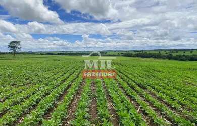 Imagem 5: Fazenda 36 alquieres 174,24 hectares Edealina - Go