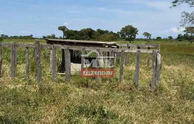 Imagem 5: Fazenda 303 Alqueires 1.469 Hectares Flores De Goiás - Go