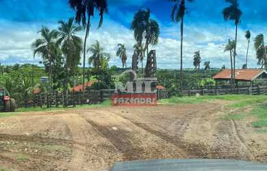 Imagem 3: Fazenda 36 alquieres 174,24 hectares Edealina - Go