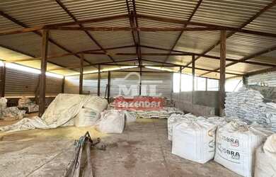 Imagem 14: Fazenda 303 Alqueires 1.469 Hectares Flores De Goiás - Go