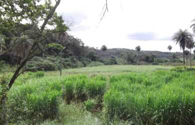 Imagem: O terreno está localizado em Jaboticatubas, MG à venda por