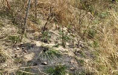 Imagem: O terreno possui 360m² de Área e está localizado em Duque