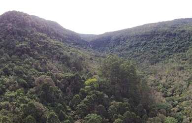 Imagem 11: Área à venda, 450000 m² por R$ 8.799.900,00 - Várzea Grande - Gramado/RS