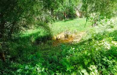 Imagem: AG07 VENDO SÍTIO EM SANTA LEOPOLDINA