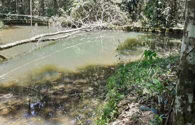 Imagem: A chácara possui 170.000m² de Área e está localizado em