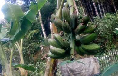 Imagem 3: 3 mil mts com fibra otica instalada