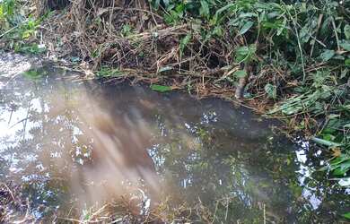 Imagem 13: Terreno para chácara. 58.888m² de Área