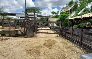 Imagem 9: Vende-se fazenda. 66m² de Área