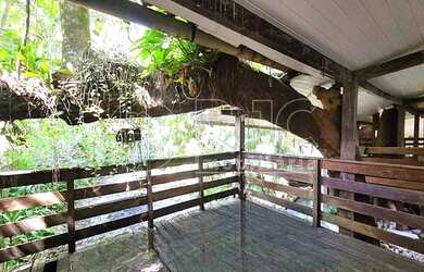 Imagem 15: Imóvel para venda tem 335 metros quadrados com 4 quartos em Tijuca -...