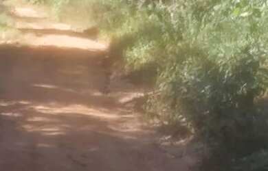 Imagem: O terreno possui 300m² de Área e está localizado em Mateus