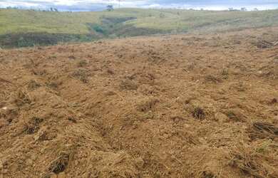 Imagem 3: FAZENDA À VENDA OU ARRENDAMENTO COM 55 HECTARES, NO ALTO PARANAÍBA