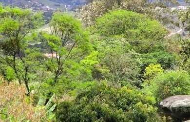 Imagem 13: Linda pousada para venda em Itapeva MG