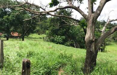 Imagem 6: Alugo Pasto Abadia de Goiás 3 Alqueire com água