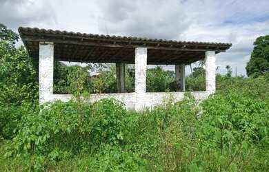 Imagem 11: Ótima Fazenda com 200 hectares na região de São Gonçalo do Amarante